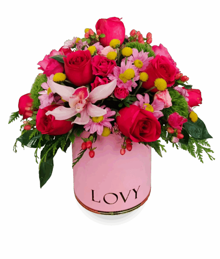 lovy a